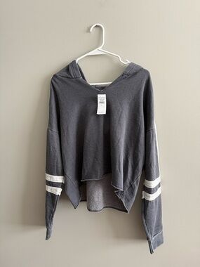 NWT American Eagle Outfitters Gray Hooded Sweatshirt Stripe Preppy Cropped Large